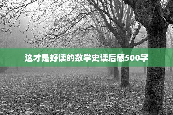 这才是好读的数学史读后感500字
