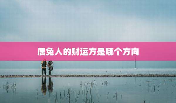 属兔人的财运方是哪个方向