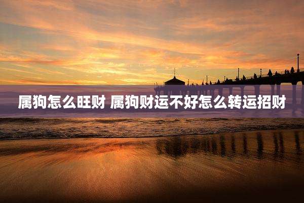 属狗怎么旺财 属狗财运不好怎么转运招财