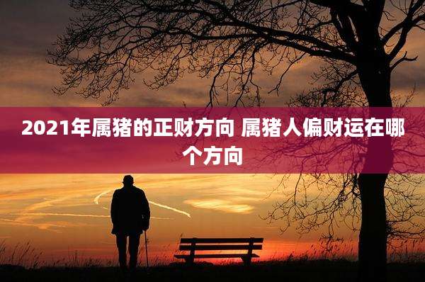 2021年属猪的正财方向 属猪人偏财运在哪个方向