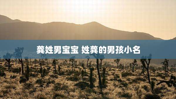 龚姓男宝宝 姓龚的男孩小名