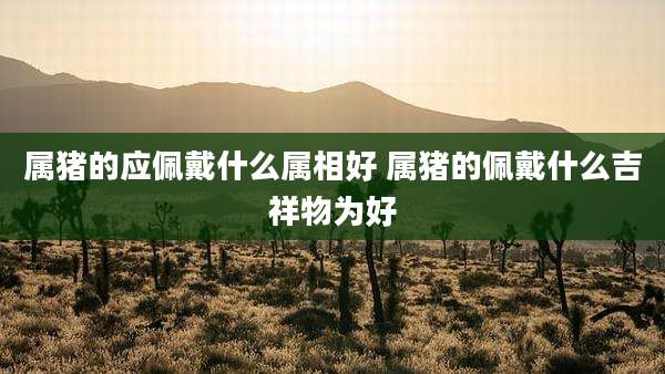 属猪的应佩戴什么属相好 属猪的佩戴什么吉祥物为好