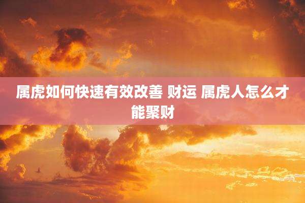 属虎如何快速有效改善 财运 属虎人怎么才能聚财