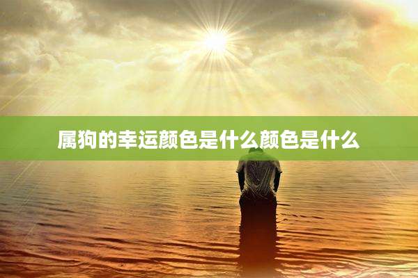 属狗的幸运颜色是什么颜色是什么