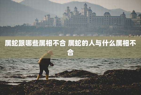 属蛇跟哪些属相不合 属蛇的人与什么属相不合