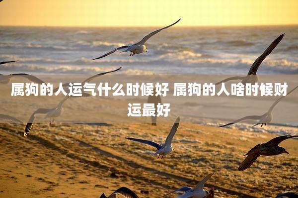 属狗的人运气什么时候好 属狗的人啥时候财运最好
