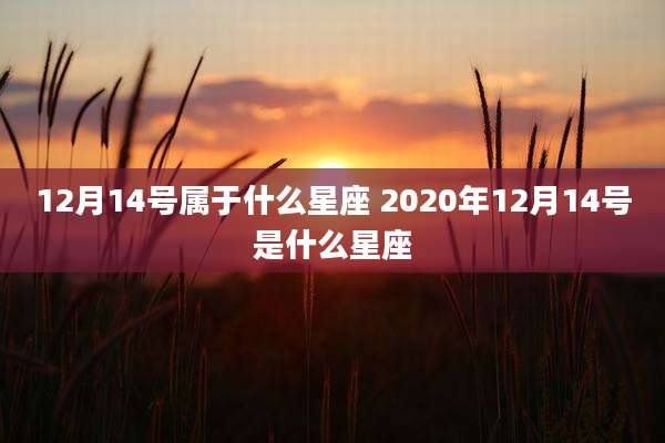 12月14号属于什么星座 2020年12月14号是什么星座
