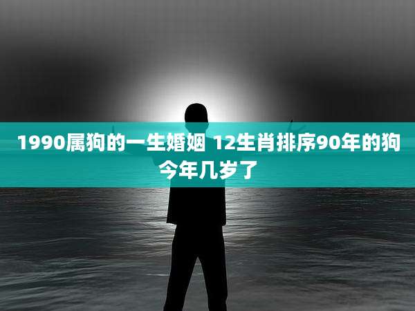 1990属狗的一生婚姻 12生肖排序90年的狗今年几岁了