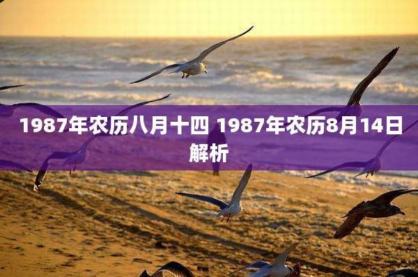 1987年农历八月十四 1987年农历8月14日解析