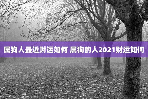 属狗人最近财运如何 属狗的人2021财运如何