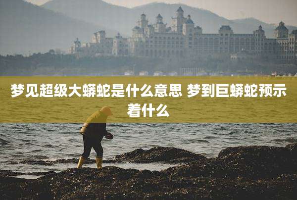 梦见超级大蟒蛇是什么意思 梦到巨蟒蛇预示着什么