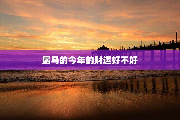 属马的今年的财运好不好