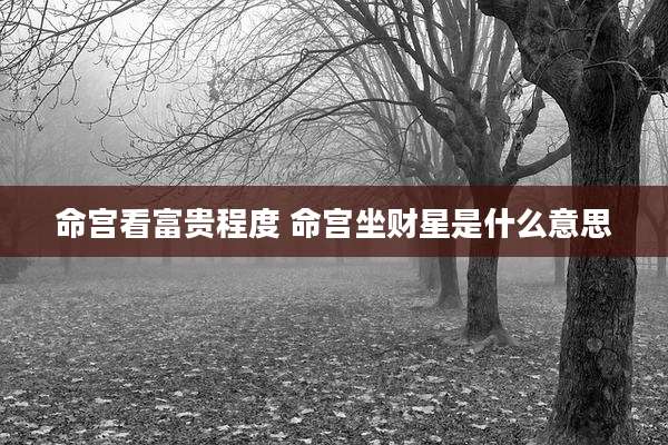 命宫看富贵程度 命宫坐财星是什么意思