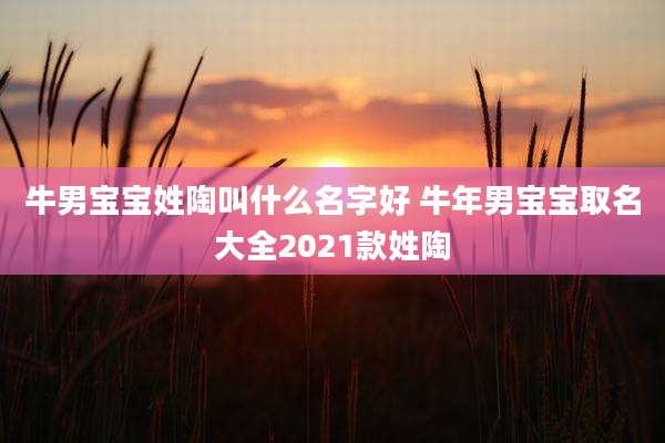 牛男宝宝姓陶叫什么名字好 牛年男宝宝取名大全2021款姓陶