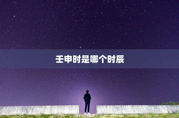 壬申时是哪个时辰