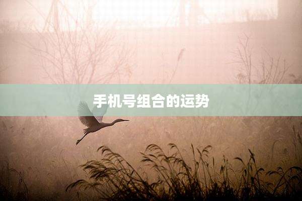 手机号组合的运势
