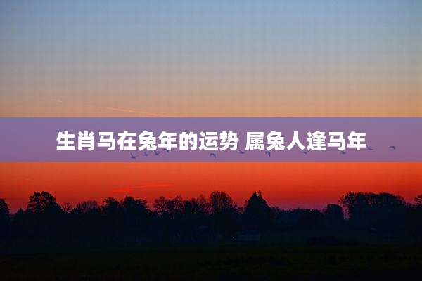 生肖马在兔年的运势 属兔人逢马年