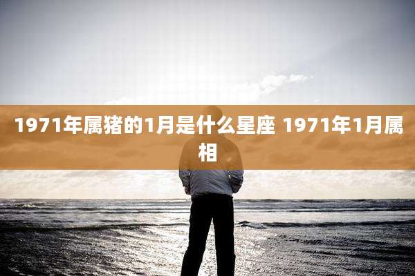 1971年属猪的1月是什么星座 1971年1月属相