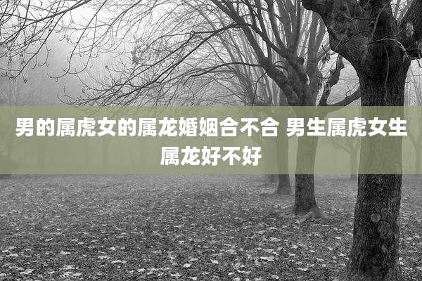 男的属虎女的属龙婚姻合不合 男生属虎女生属龙好不好