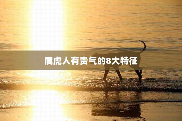 属虎人有贵气的8大特征