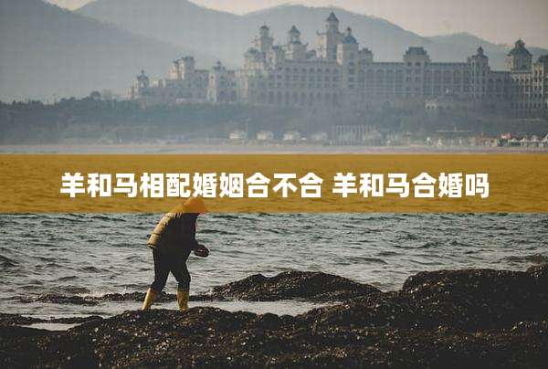 羊和马相配婚姻合不合 羊和马合婚吗