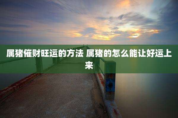 属猪催财旺运的方法 属猪的怎么能让好运上来