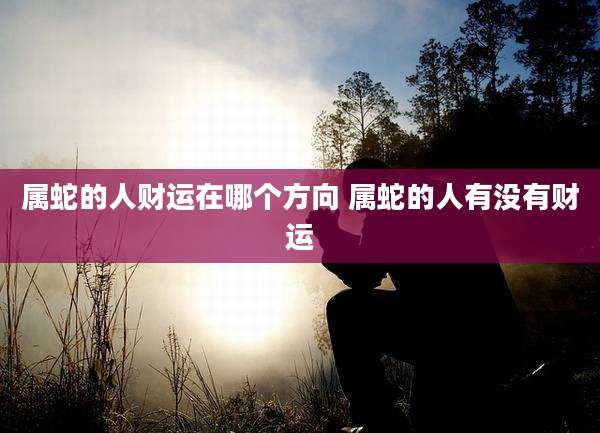 属蛇的人财运在哪个方向 属蛇的人有没有财运