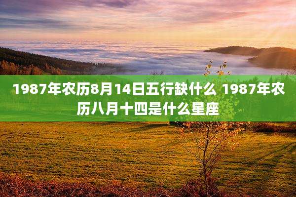 1987年农历8月14日五行缺什么 1987年农历八月十四是什么星座