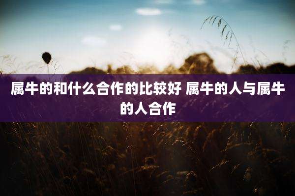 属牛的和什么合作的比较好 属牛的人与属牛的人合作