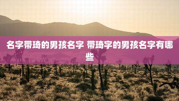 名字带琦的男孩名字 带琦字的男孩名字有哪些