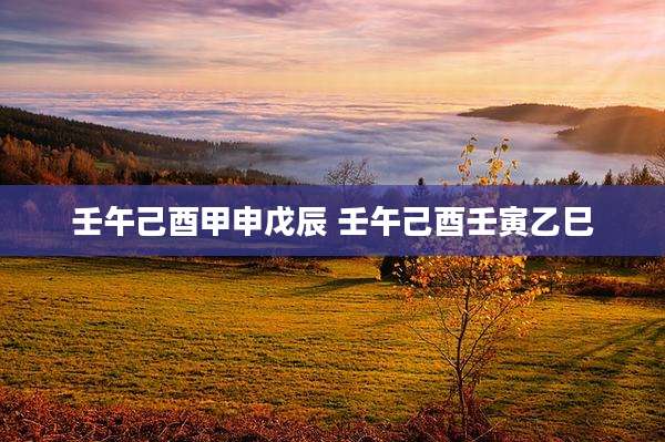 壬午己酉甲申戊辰 壬午己酉壬寅乙巳
