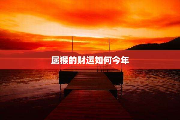 属猴的财运如何今年