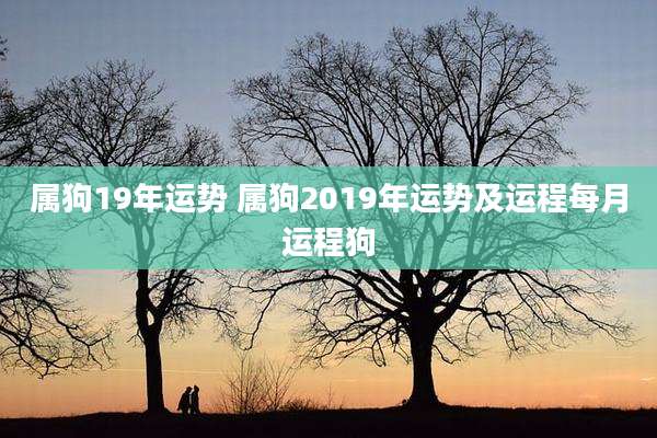 属狗19年运势 属狗2019年运势及运程每月运程狗