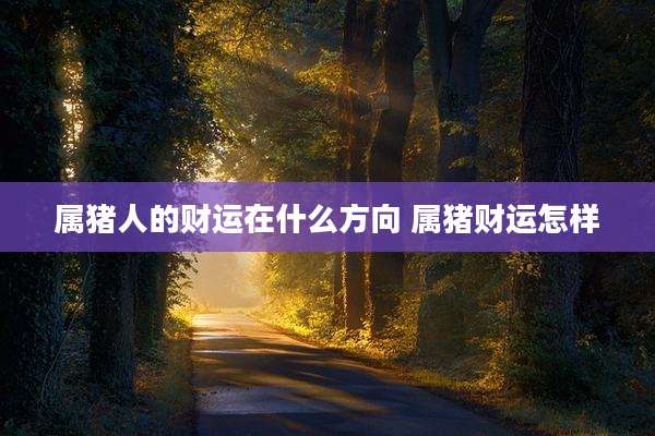 属猪人的财运在什么方向 属猪财运怎样