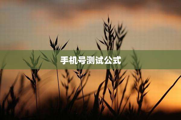 手机号测试公式