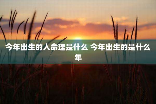 今年出生的人命理是什么 今年出生的是什么年