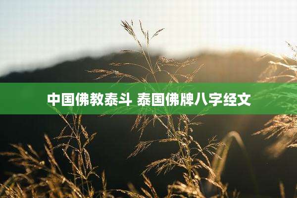 中国佛教泰斗 泰国佛牌八字经文