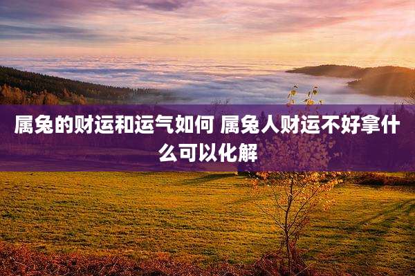 属兔的财运和运气如何 属兔人财运不好拿什么可以化解