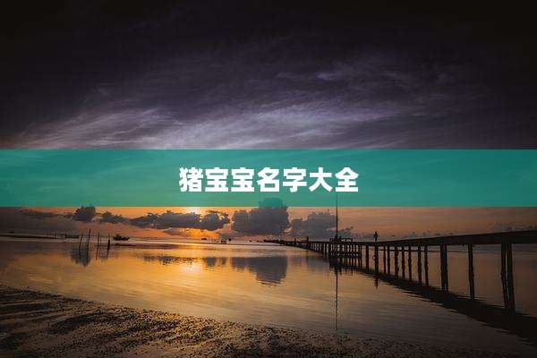 猪宝宝名字大全