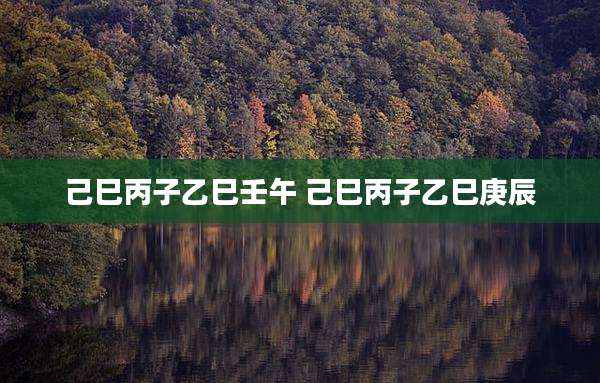 己巳丙子乙巳壬午 己巳丙子乙巳庚辰