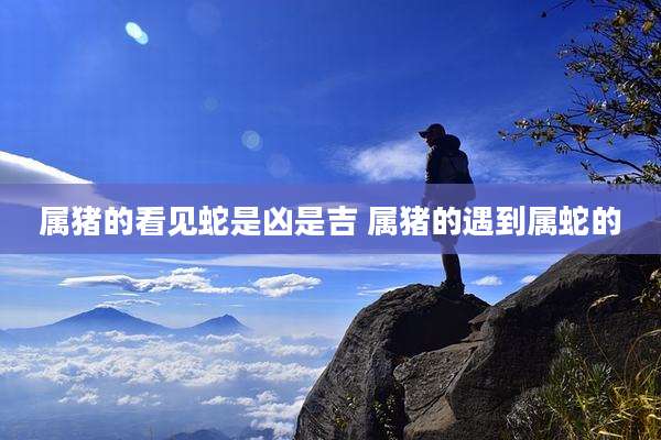 属猪的看见蛇是凶是吉 属猪的遇到属蛇的