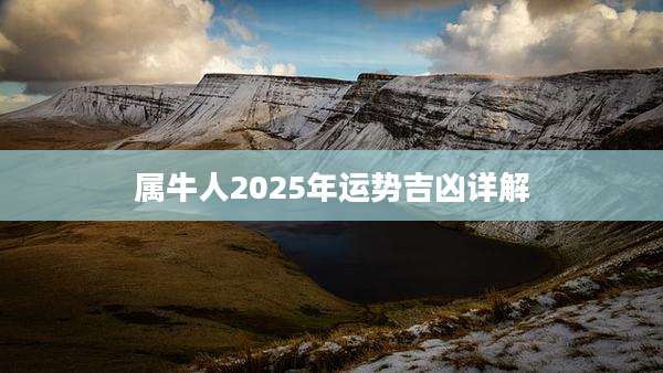 属牛人2025年运势吉凶详解