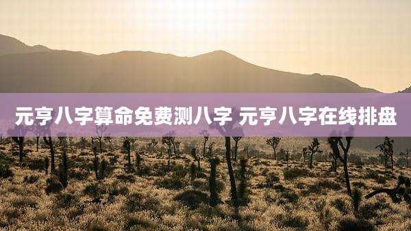 元亨八字算命免费测八字 元亨八字在线排盘