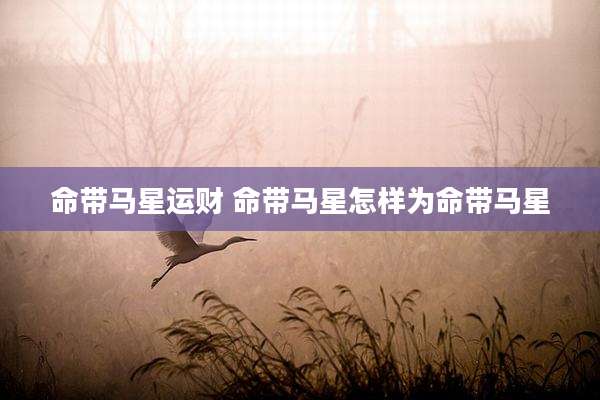 命带马星运财 命带马星怎样为命带马星