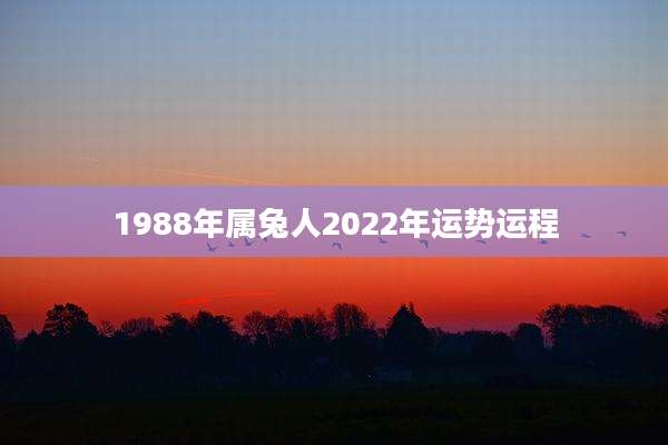 1988年属兔人2022年运势运程