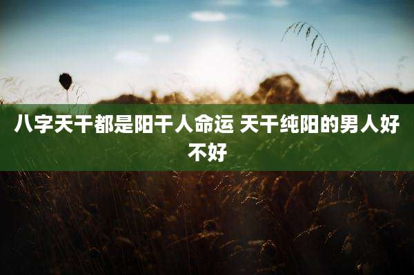 八字天干都是阳干人命运 天干纯阳的男人好不好