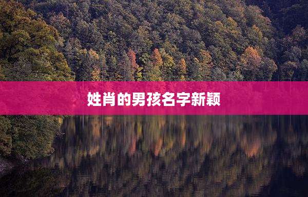 姓肖的男孩名字新颖