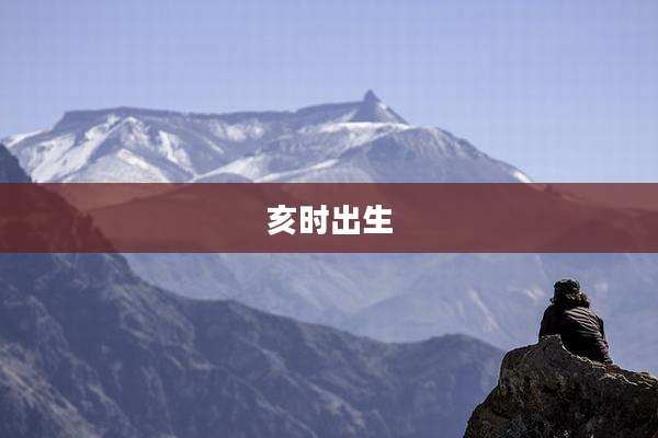 亥时出生
