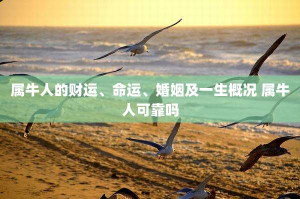 属牛人的财运、命运、婚姻及一生概况 属牛人可靠吗