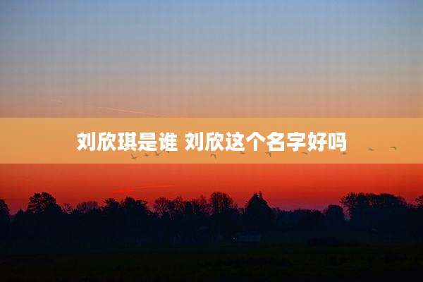 刘欣琪是谁 刘欣这个名字好吗